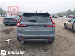 هوندا سي ار في